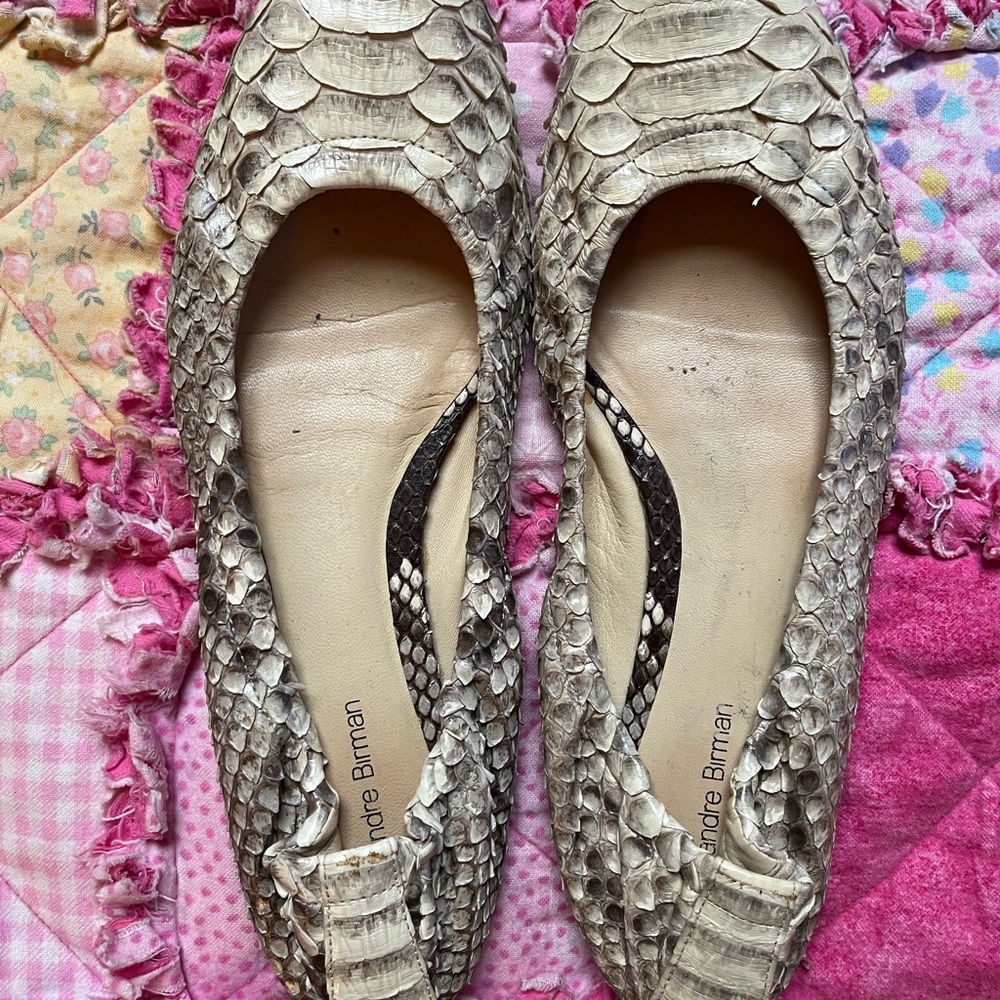 Alexander Birman Python Flats - image 4